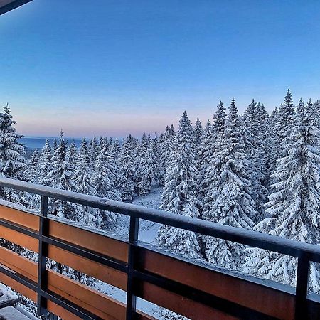 Sporthotel Kurzovní pod Pradědem Karlova Studánka Exterior foto